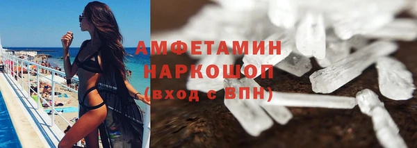 стаф Бородино