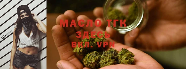 стаф Бородино