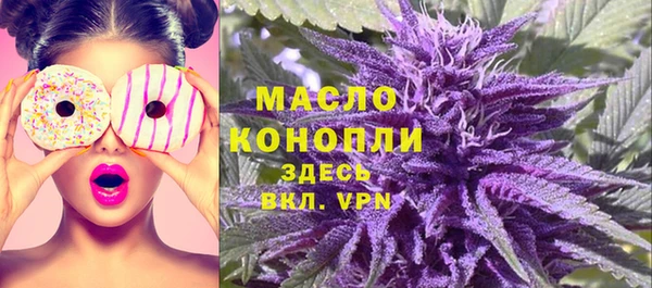 стаф Бородино