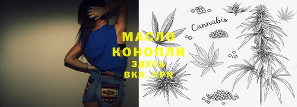 стаф Бородино