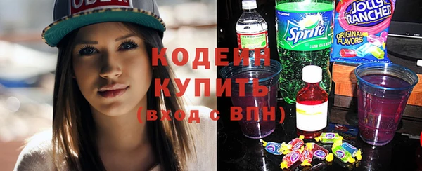 стаф Бородино