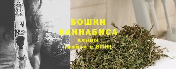 стаф Бородино