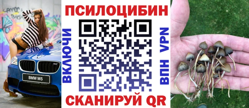Галлюциногенные грибы мицелий  где купить наркоту  нарко площадка телеграм  Благовещенск 