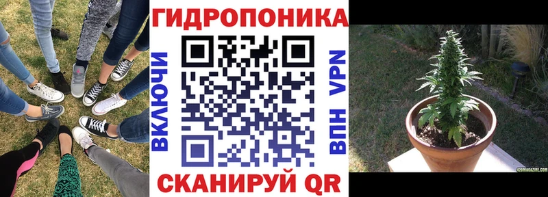 где продают   Благовещенск  Бошки марихуана Bruce Banner 